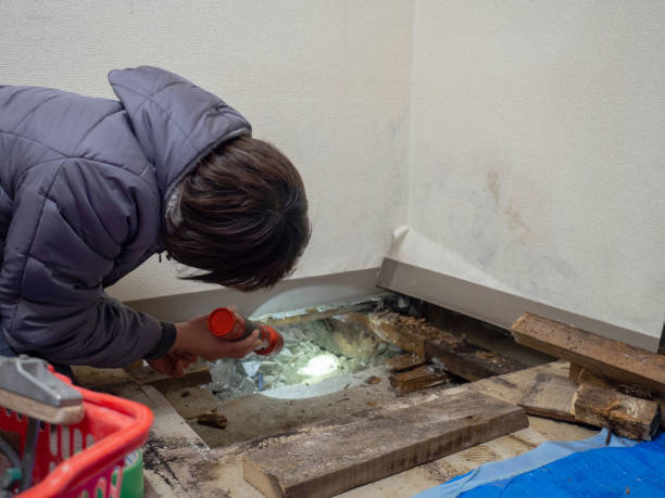 Best Forensic Mold Investigation  in Maryvle, IL