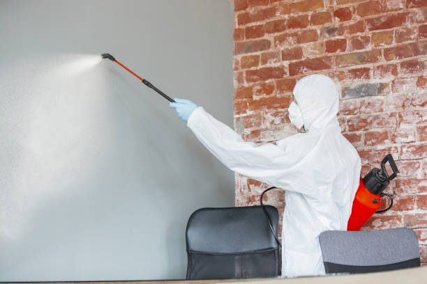 Best Biohazard Mold Removal  in Maryvle, IL