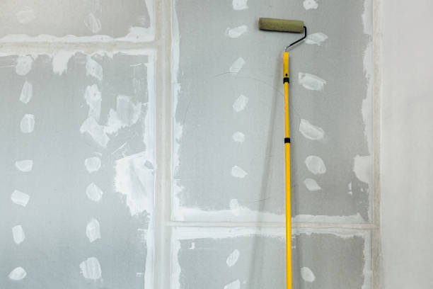 Best Emergency Mold Remediation  in Maryvle, IL