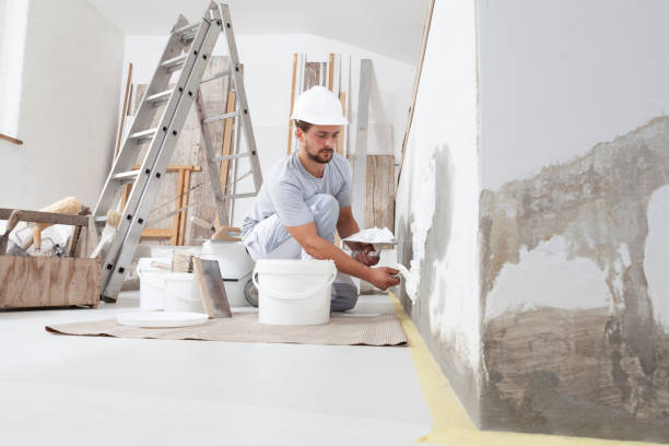 Asbestos and Lead Testing During Mold Inspection in Maryville, IL