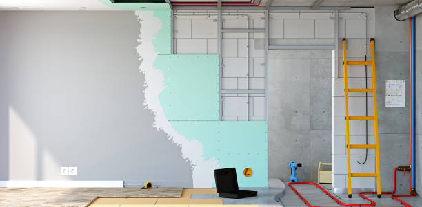 Mold Documentation for Insurance Claims in Maryville, IL