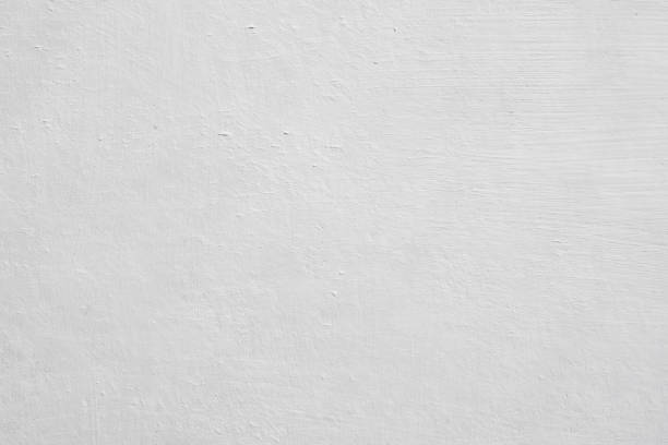  Maryvle, IL Mold Removal Pros